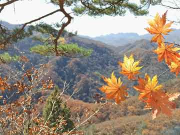 淄川赶集网最新招聘信息大揭秘