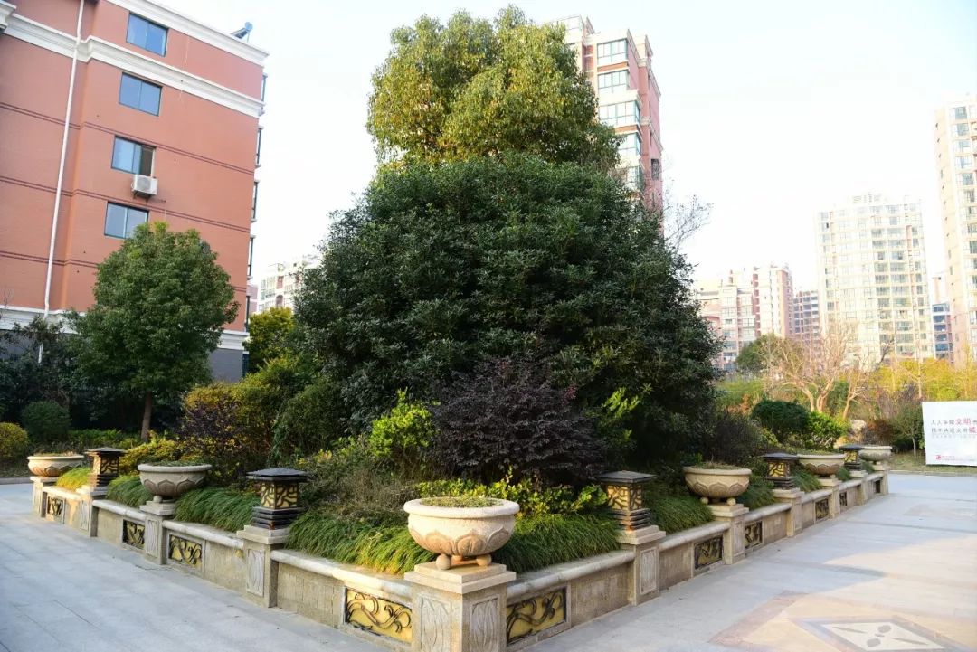滨海万锦豪庭最新动态，自然美景的探索之旅