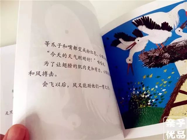 元尊最新章节新笔趣阁，自然美景探索之旅