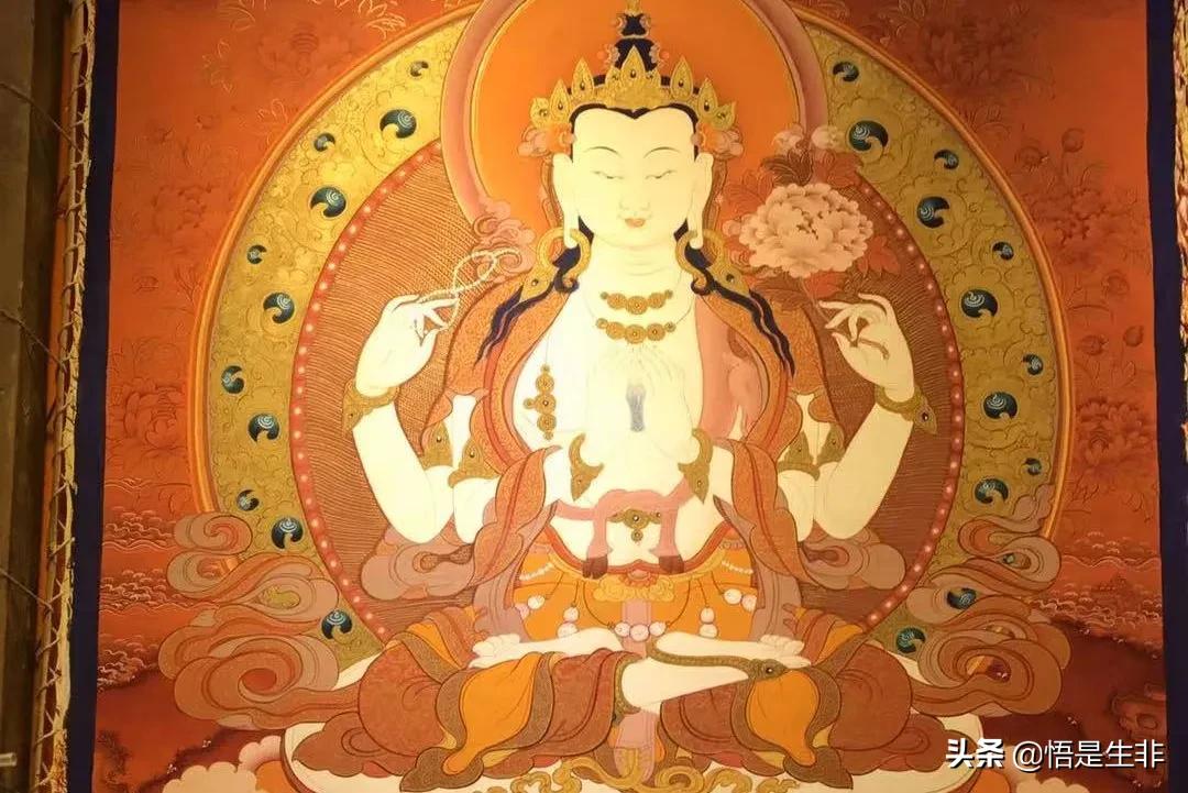 最新广场舞藏族舞，学习指南与舞动体验