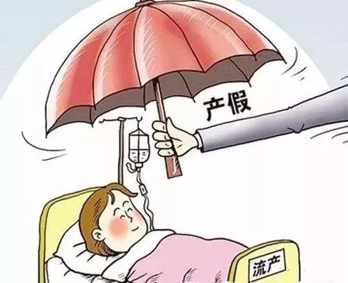 女职工产假最新规定深度探讨与解析