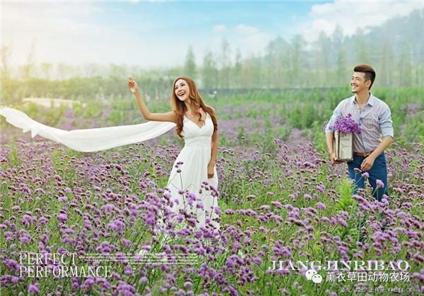 非诚勿扰最新动态，参与指南与提升相亲交友体验秘籍