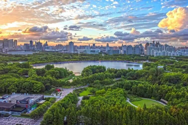 最新美国动作电影，自然之旅与内心的平和探索