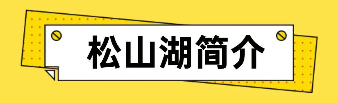 松山湖新能源最新招聘信息✨
