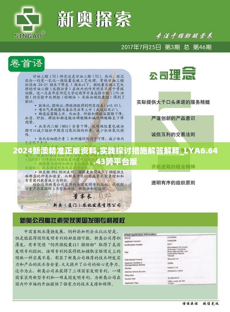 新澳内部资料免费精准37b,灵活性执行方案_高效版16.402