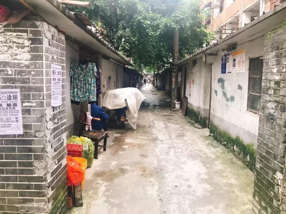 书法艺术中心 第264页