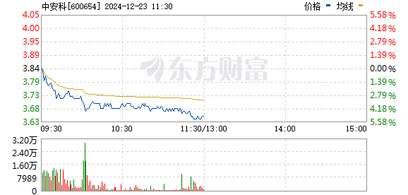 st中安最新消息,ST中安的日常趣事与情感纽带