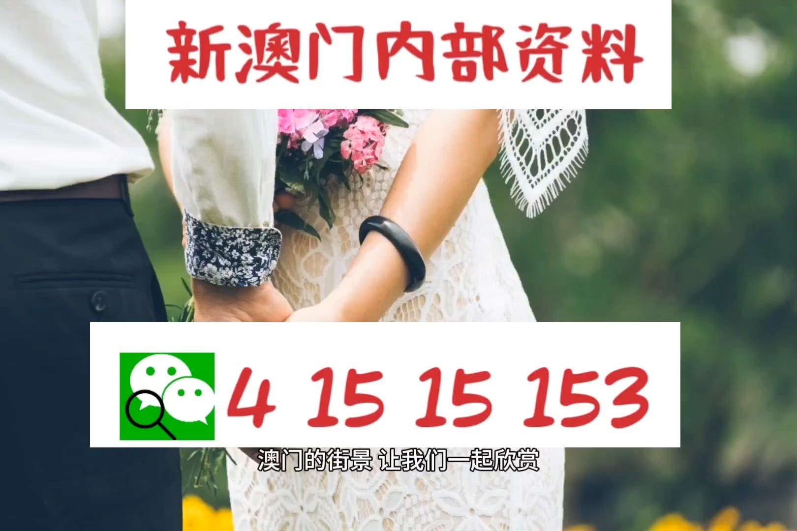 2024澳门精准正版免费大全,专业数据点明方法_文化传承版22.195