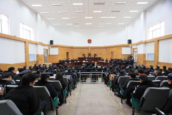 伊川房屋出租最新消息，市场趋势、正反观点与个人立场解析