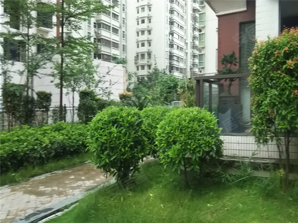 潮州海逸一号最新房价动态与投资热点分析，市场趋势深度解读