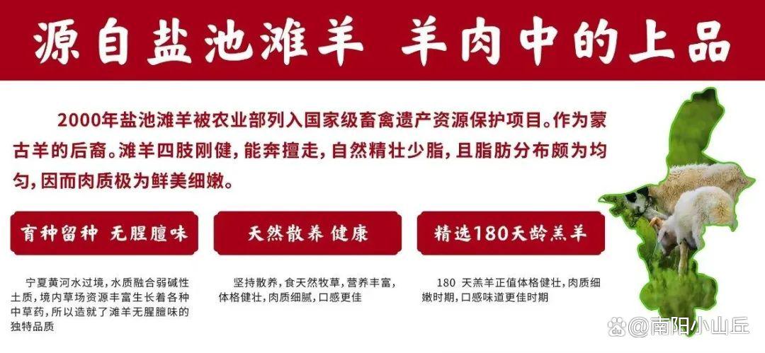 河南泌阳羊册最新动态与观点分析