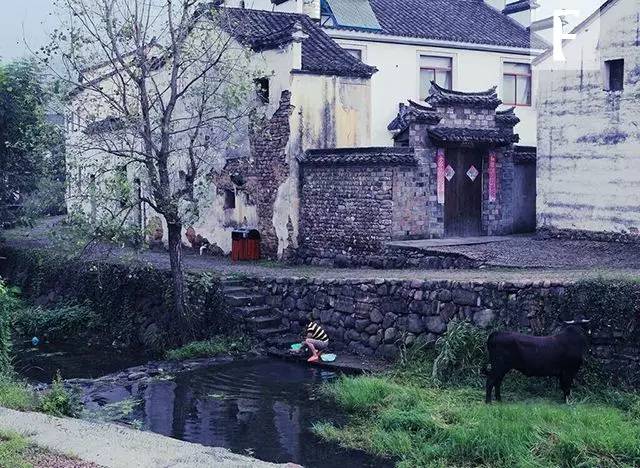 定州水墨林居最新动态，自然美景的探索之旅，寻求内心平和与宁静