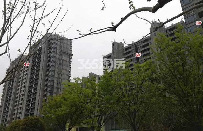 南阳清华园最新动态更新